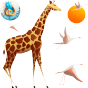 Stickers girafe