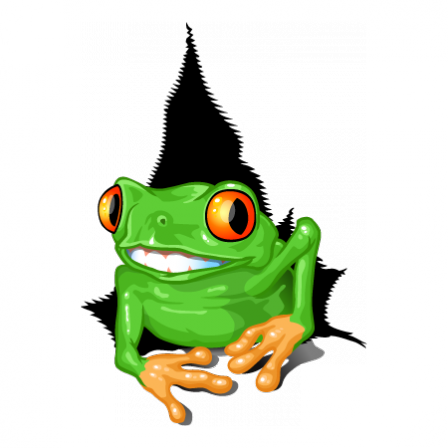 Stickers Grenouille souriante