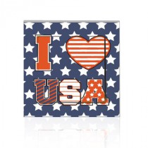 Stickers INTERRUPTEUR USA