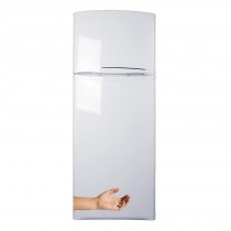 Stickers frigo main